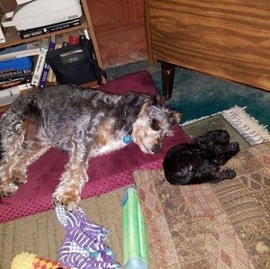 Meet your Posher, Robin